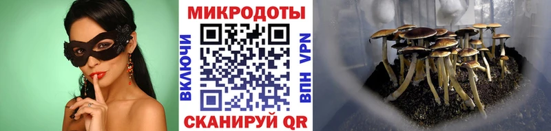 наркошоп  Добрянка  мориарти как зайти  Галлюциногенные грибы MAGIC MUSHROOMS 