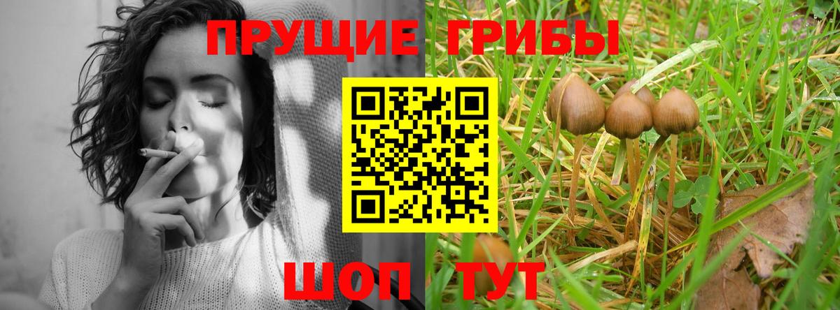 Галлюциногенные грибы мицелий Добрянка