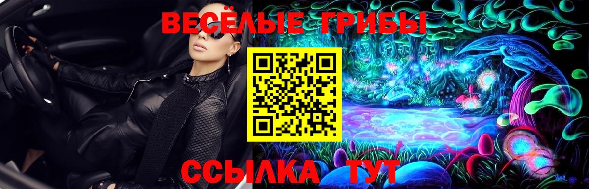 Галлюциногенные грибы Psilocybine cubensis  хочу   Добрянка 