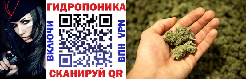 omg как войти  Добрянка  Марихуана индика 